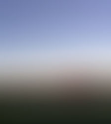 意外と知られていない事実