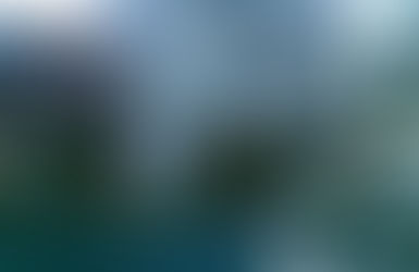 Summerlinの獣医さんとペットフード店