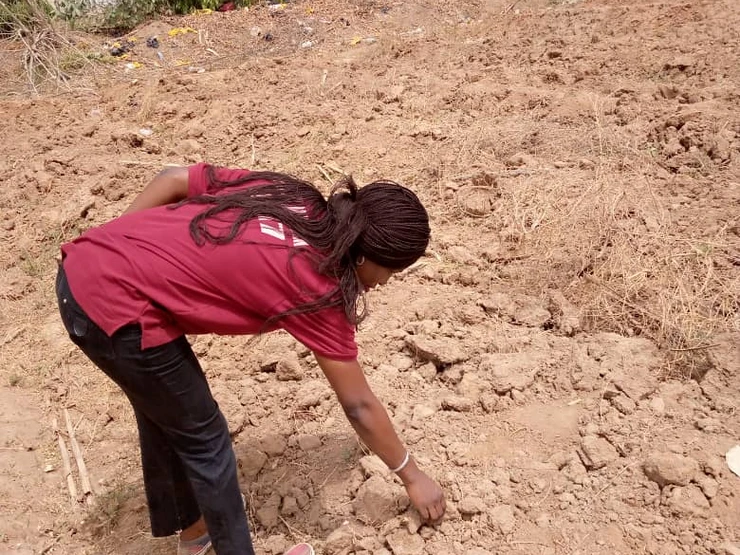 Vantage Point: Possible Plot