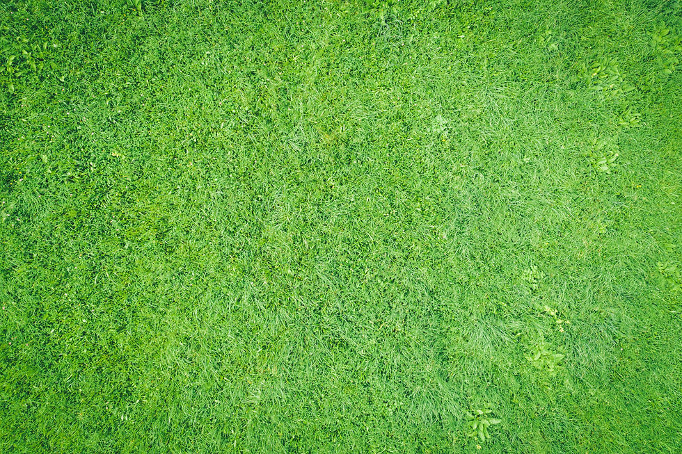 Artificial grass synthetic turf lawn installation in Southampton garden