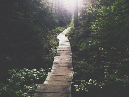 How to stop and take 10 in a world that demands more of our precious time.