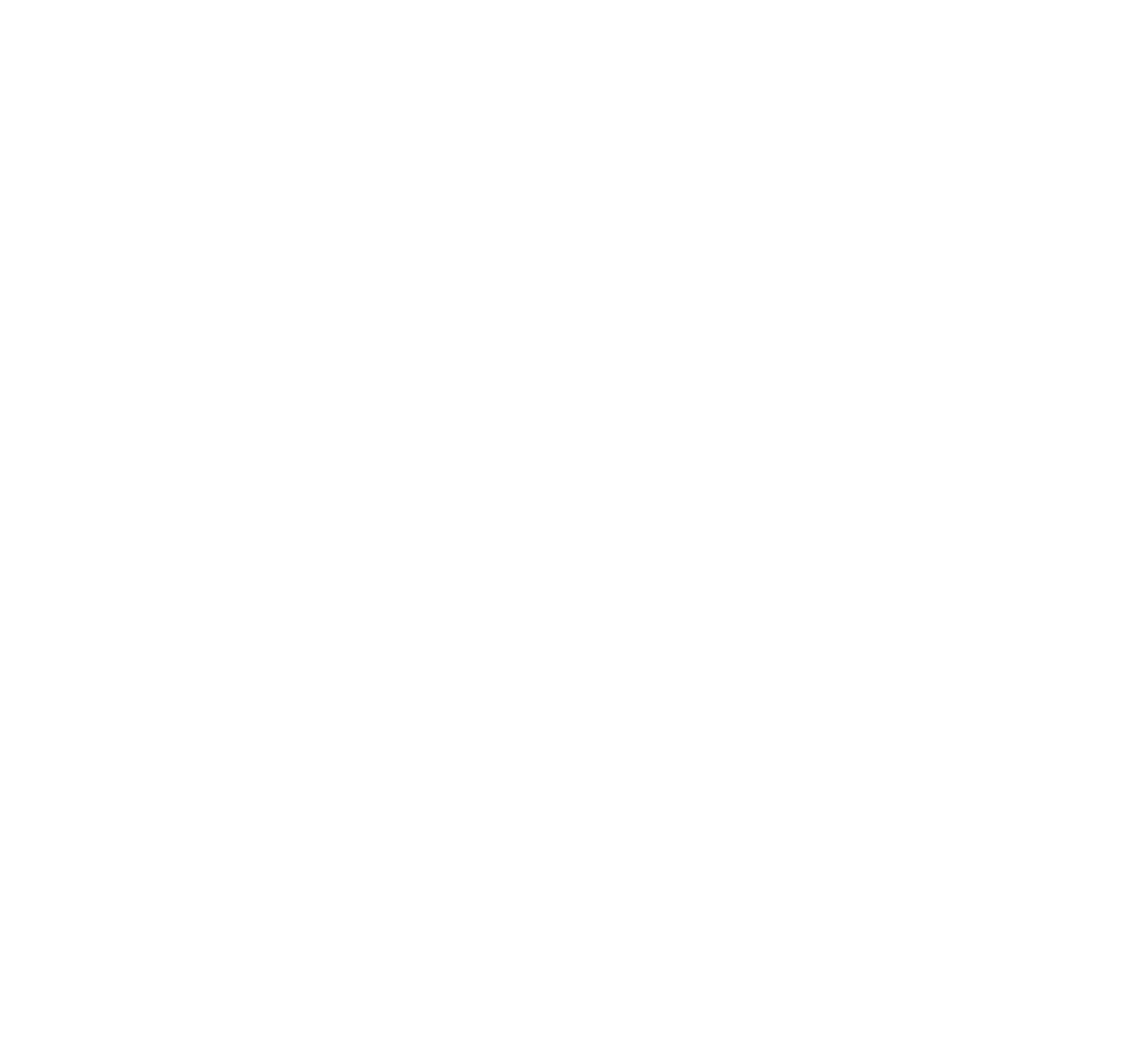 carl van de velde logo.webp