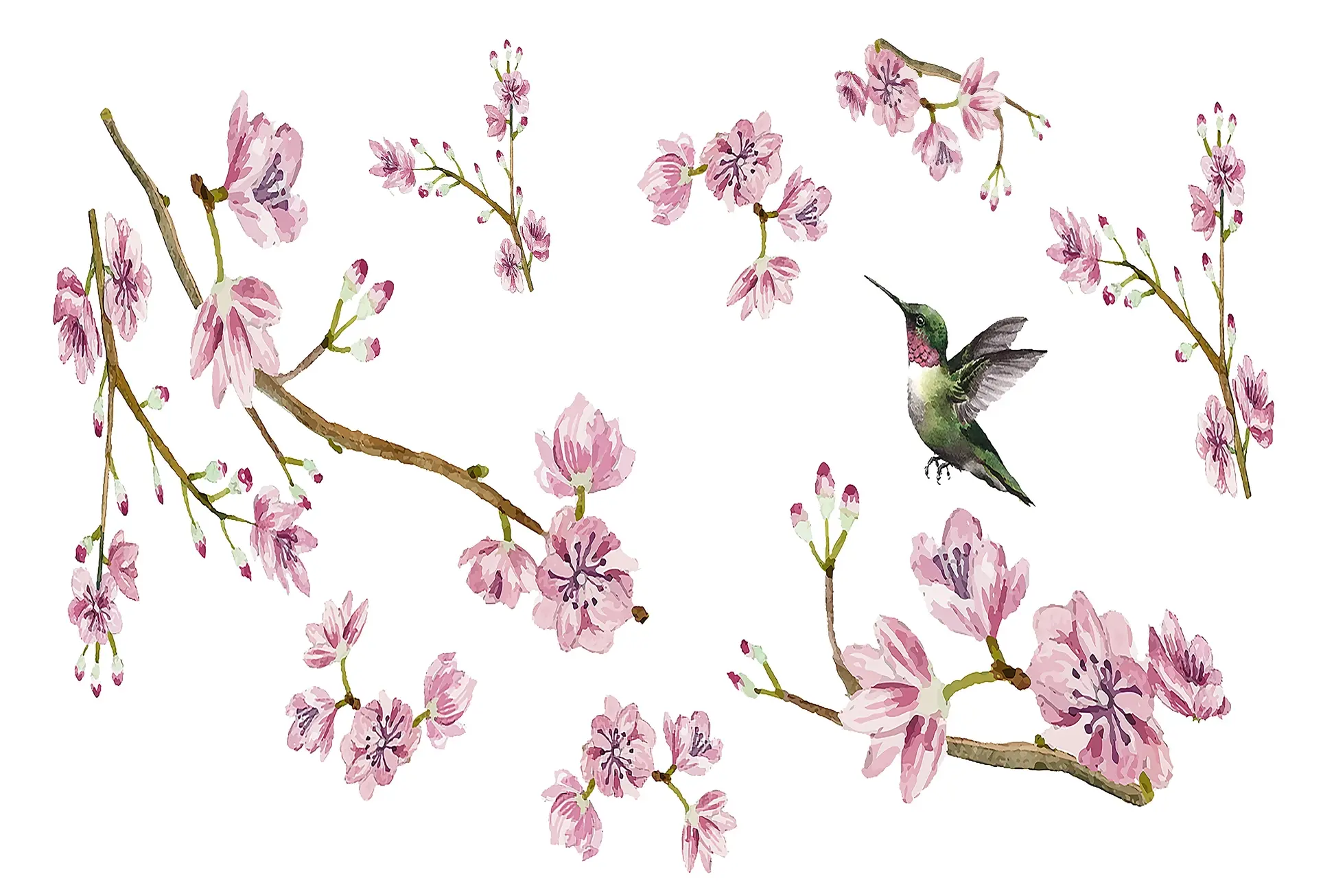 Nicolette Mayer - Blossom Fantasia Paper Placemats, Set of 24