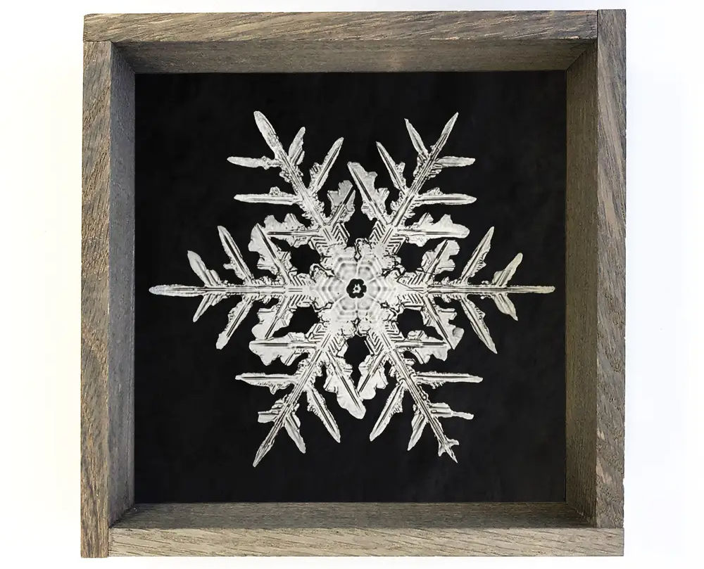 Snowflake Winter Canvas Wall Art - II