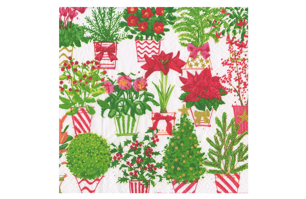 Caspari - Christmas Flower Market Paper Cocktail Napkins