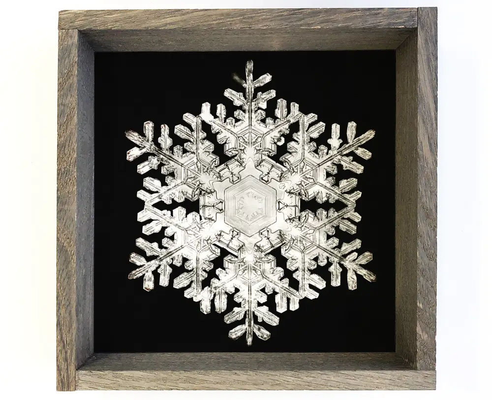 Snowflake Winter Canvas Wall Art - III