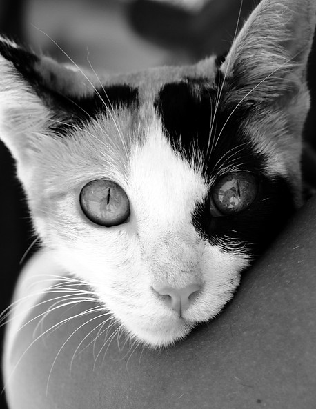 92f6264e-dd03-442b-83ac-04141a03119e_edi