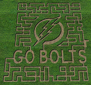 Go Bolts