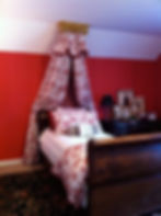 Canopy Panel, Valance, Sham & Duvet