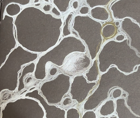 HP NeuroGarten 1.png