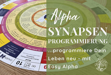 Wix Layout AKTUELLES_edited_edited.jpg