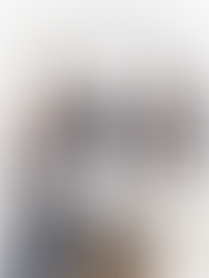 New on the HIGHSTREET.