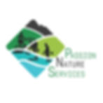 LOGO PNS
