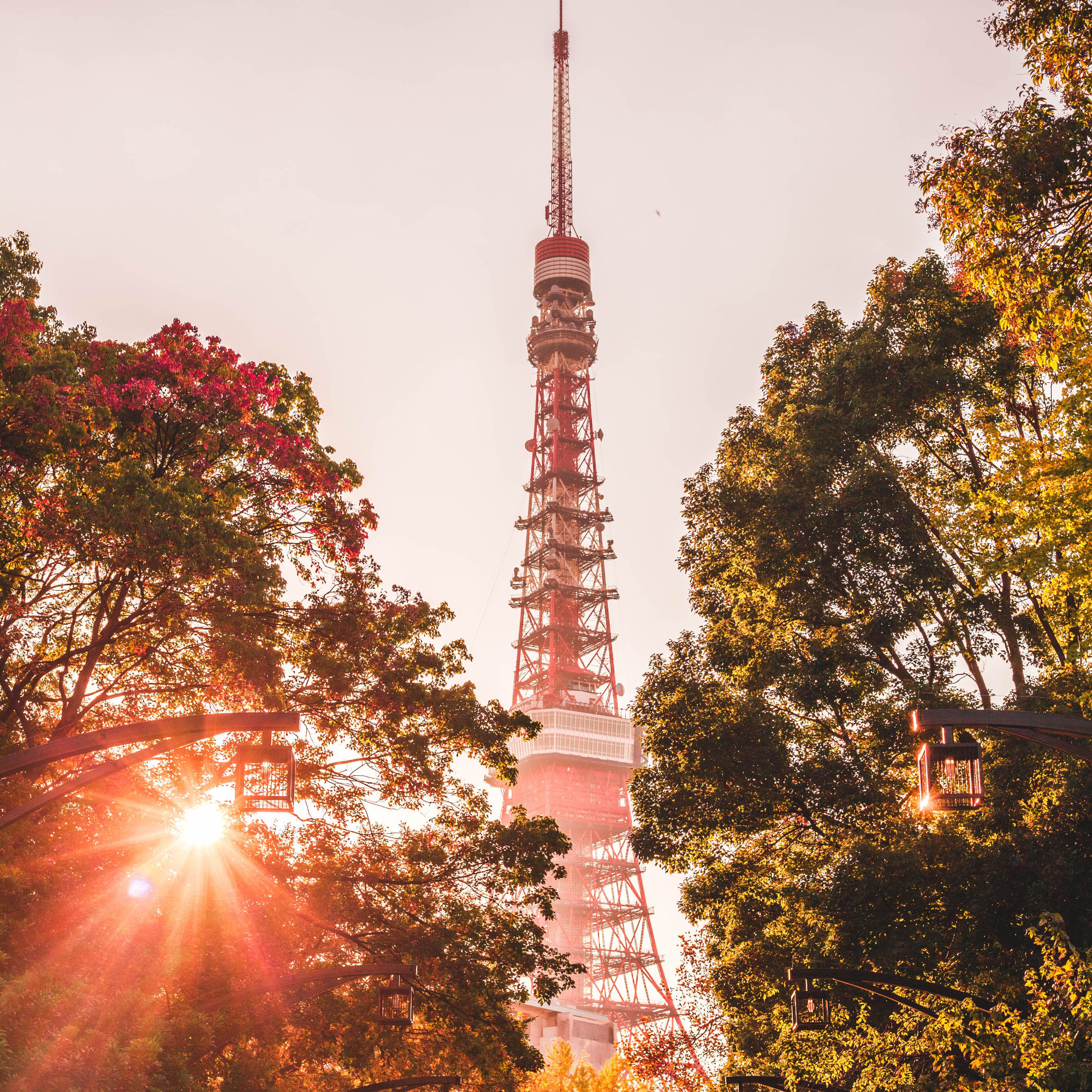 Tokyo & Cultural Focus