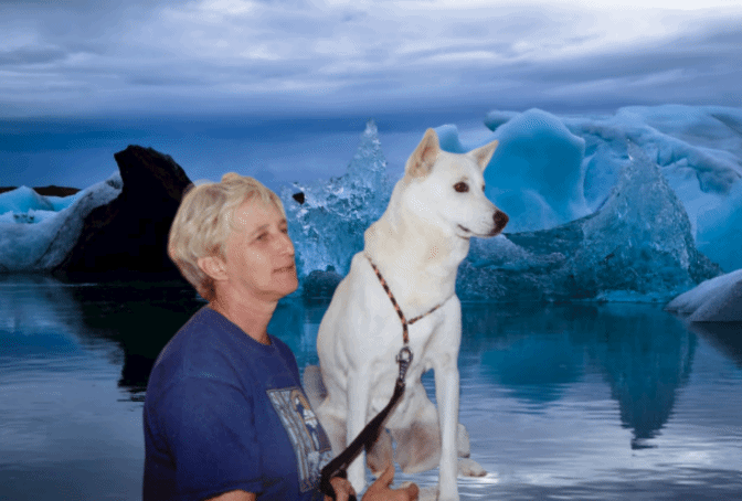 mirna1.gif