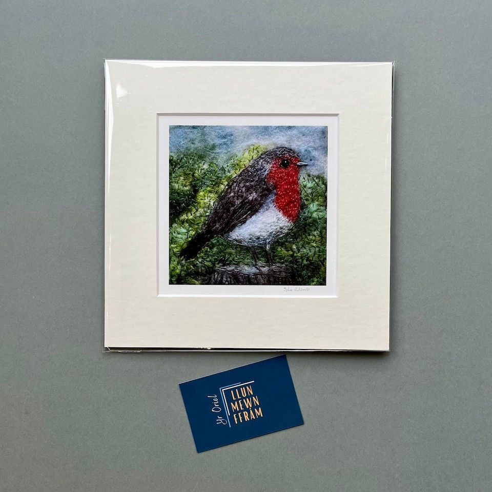Print Robin Goch - Julie Roberts