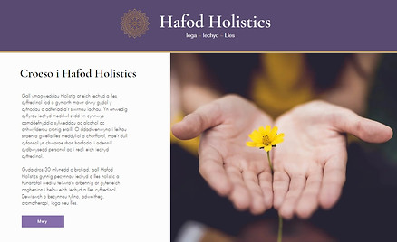 HafodHolistics.jpeg