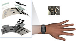 Integrated Biosensor System