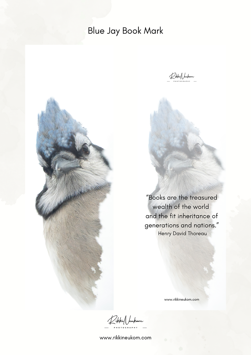 blue jay bookmark with quote on back