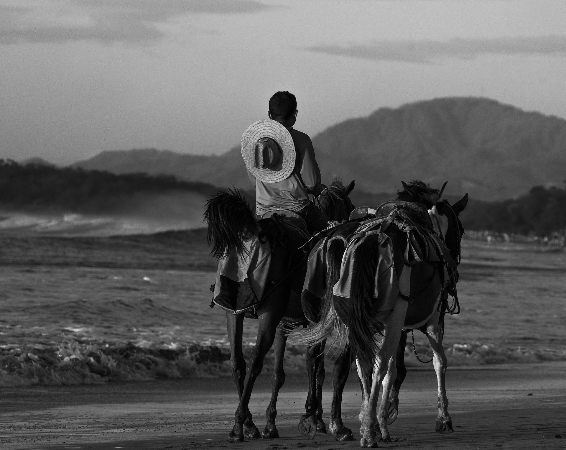 Horse rides on the beach