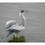 Thumbnail: Great Blue Heron in Water