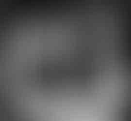 a shadow of a leaf on a window