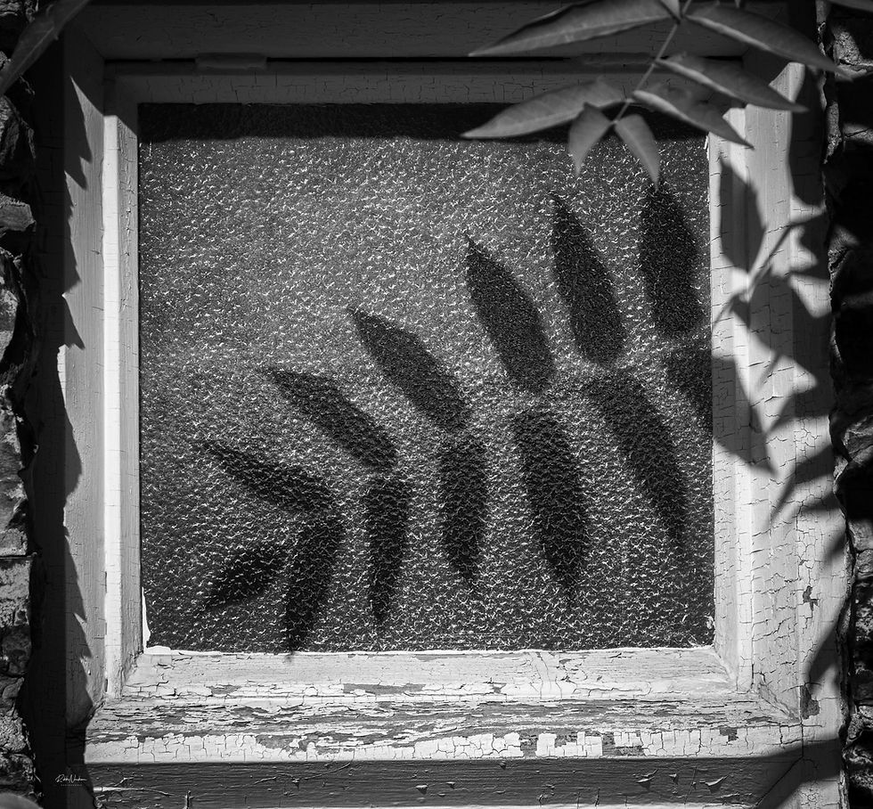 Obsession with Leaves