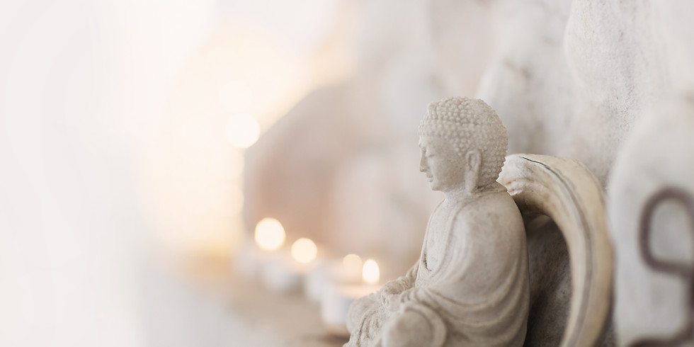 Yin Yoga Online mit Erika