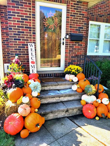 3 Gourd Vibes Only! | Ohio Pumpkins