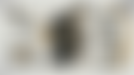 Expert Reasoning: Vom stochastischen Raten zur logischen Verifikation