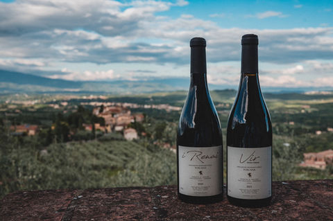 Tenuta Il Leccio - San Leolino (AR)