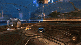 LiveMammothCoyote-max-1mb.gif