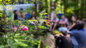 O futuro do açaí está sendo escrito agora — com ciência, regeneração e propósito.