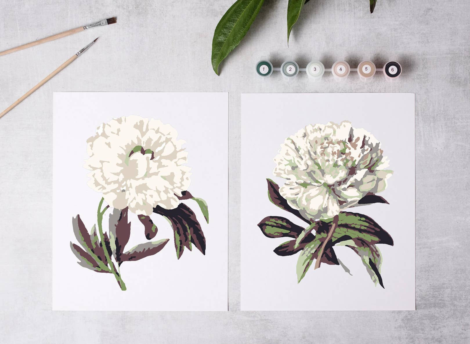 Paint-By-Number Kit - Peony Blossoms