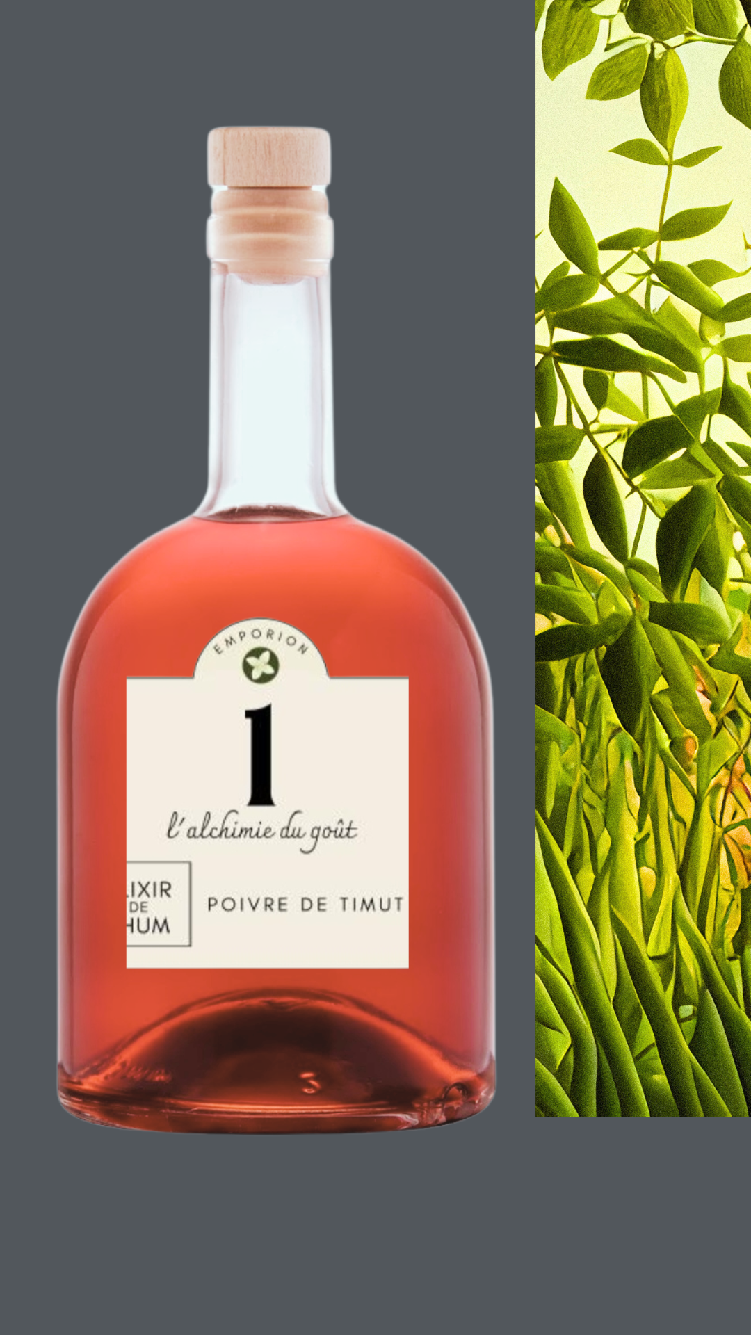 Rhum arrangé n° 1 Poivre de Timut