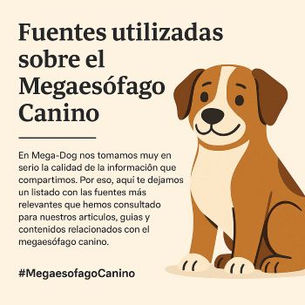 📚 Fonti utilizzate riguardo al megaesofago canino