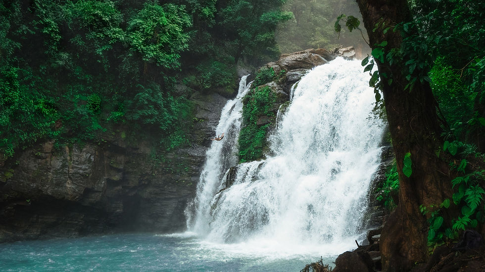 Cliffdiver-Wasserfall-CostaRica-Nuayaca.jpg