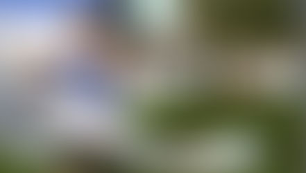 Hallwilerseelauf 2019