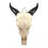 Miniatura: Cráneo calavera de vaca