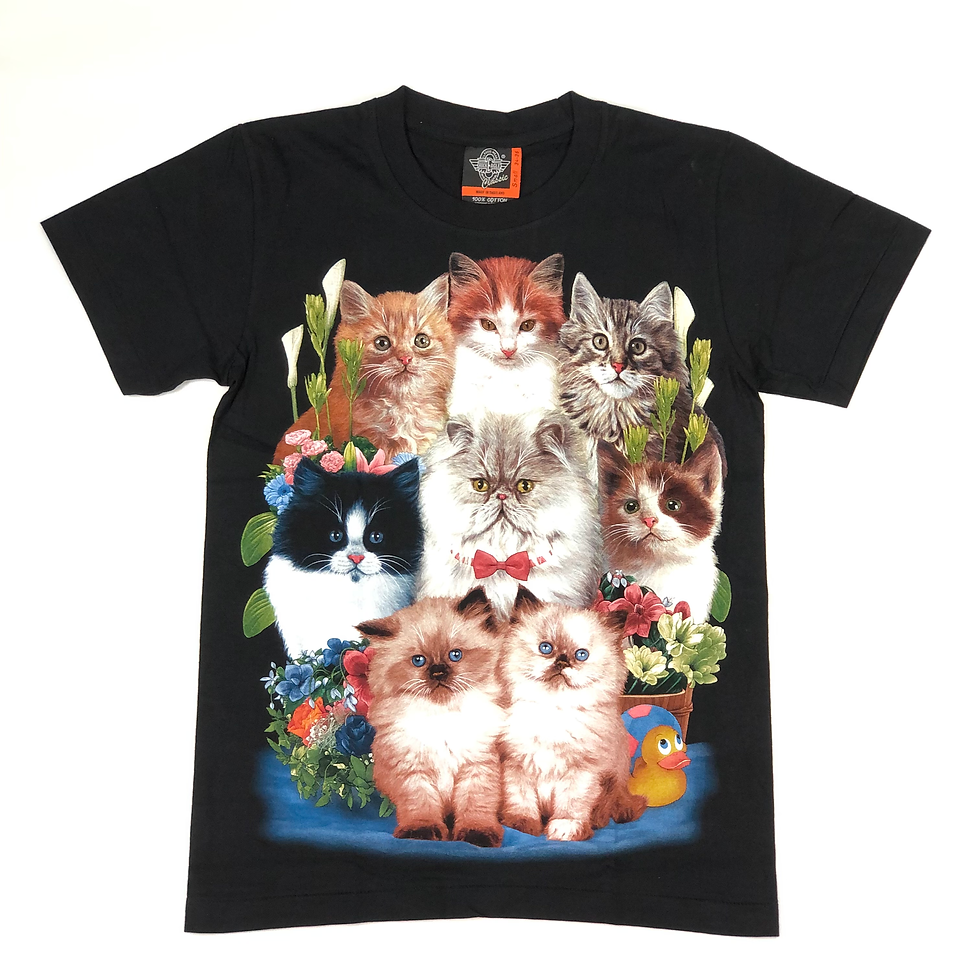 Camiseta Gato-16