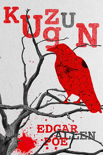 Kuzgun Edgar Allen Poe Book Cover