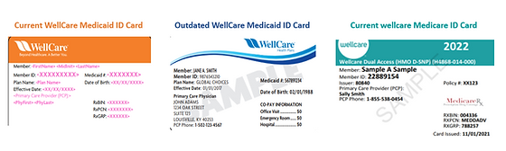 Wellcare Id Card 2022