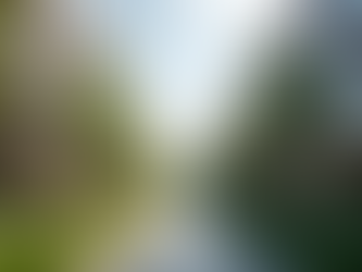 Top Trends in Real Estate Development for 2025