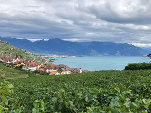 Vevey