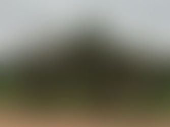 索维拉(ⵜⴰⵚⵚⵓⵔⵜ)