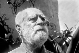 CULINARIA DE LO HUMANO