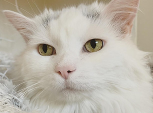 162866413_10157515273077237_631332962090