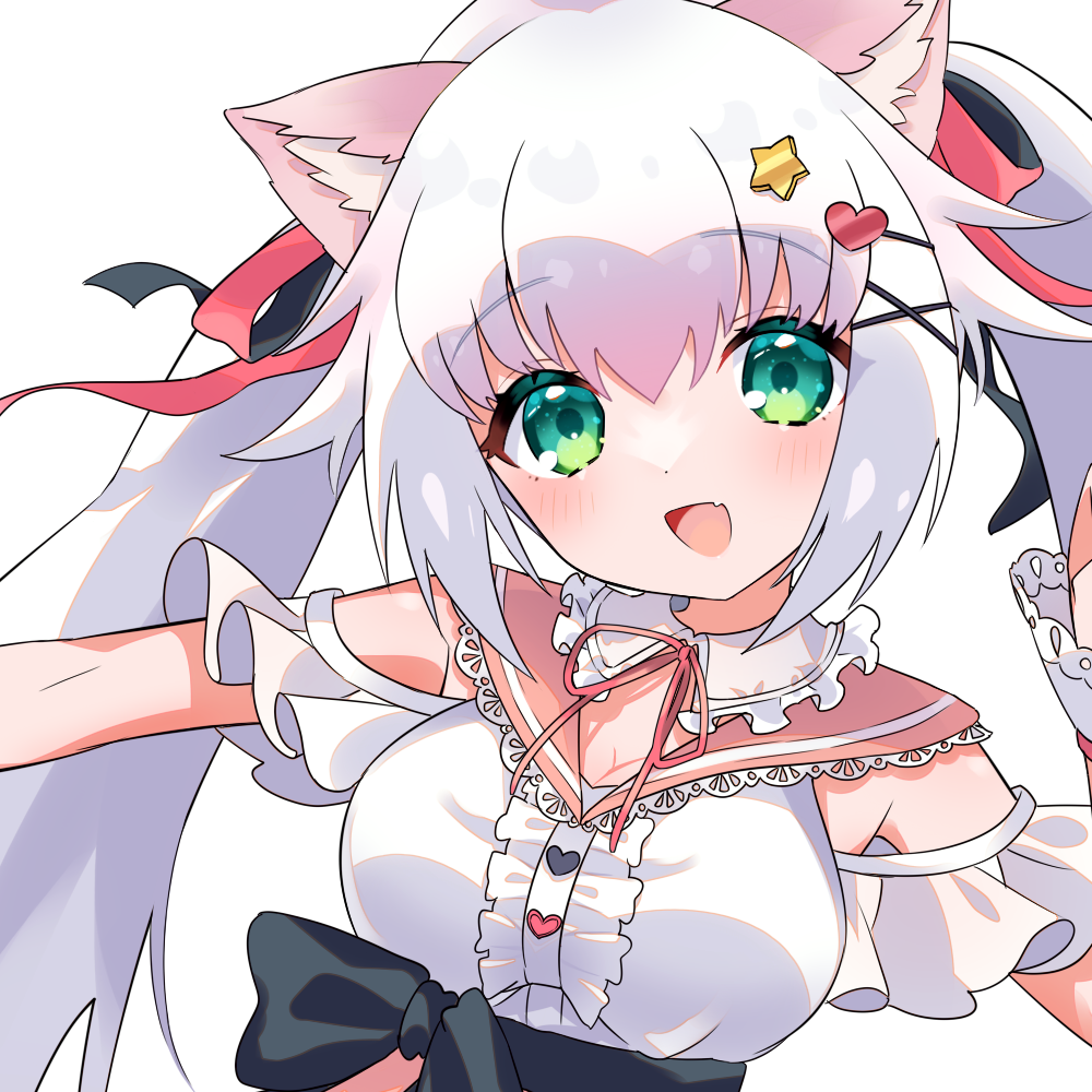 またたびしいな