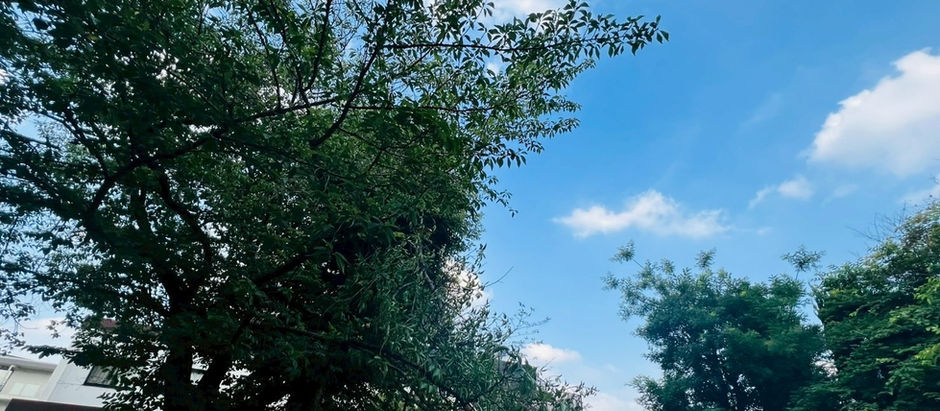 7月5日(土)の練習日記