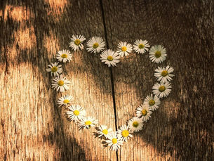 Sobre Silêncios e Vazios